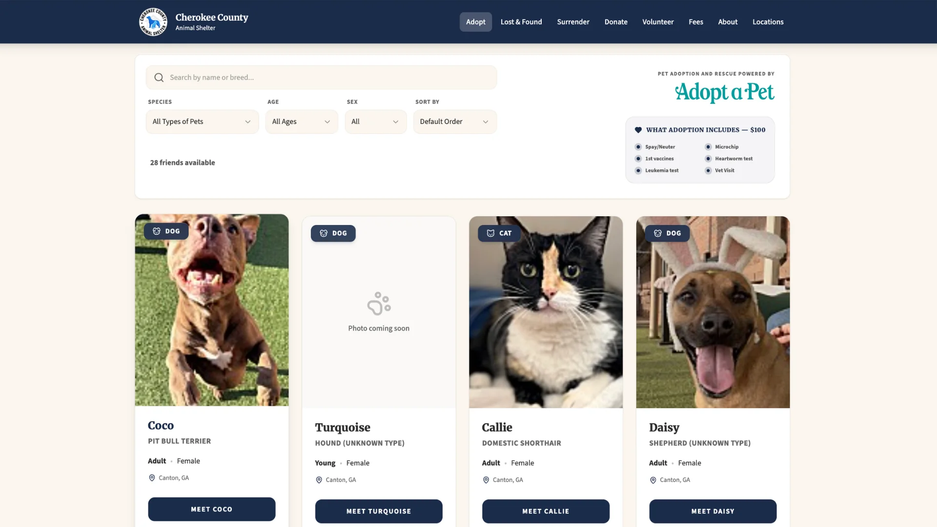 Cherokee County adoption portal