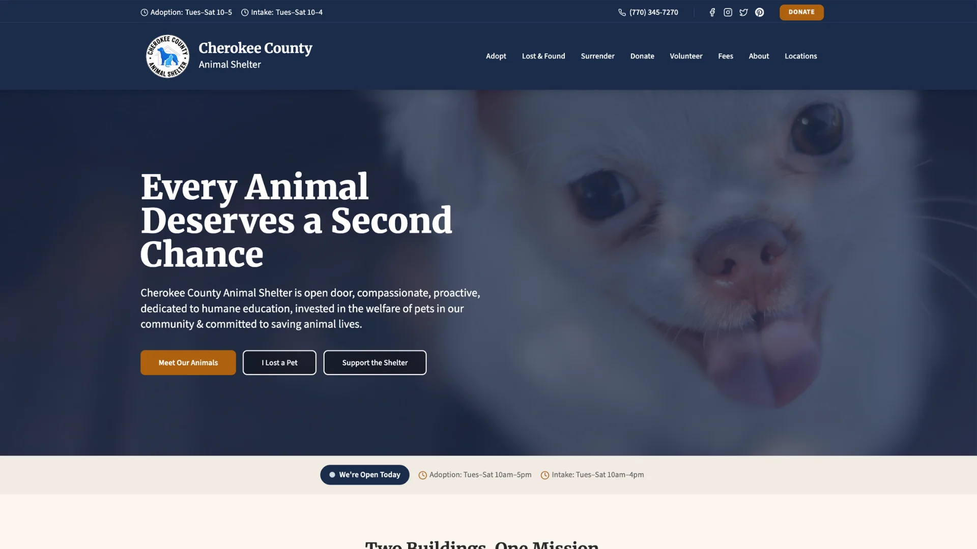 Cherokee County Animal Shelter homepage concept