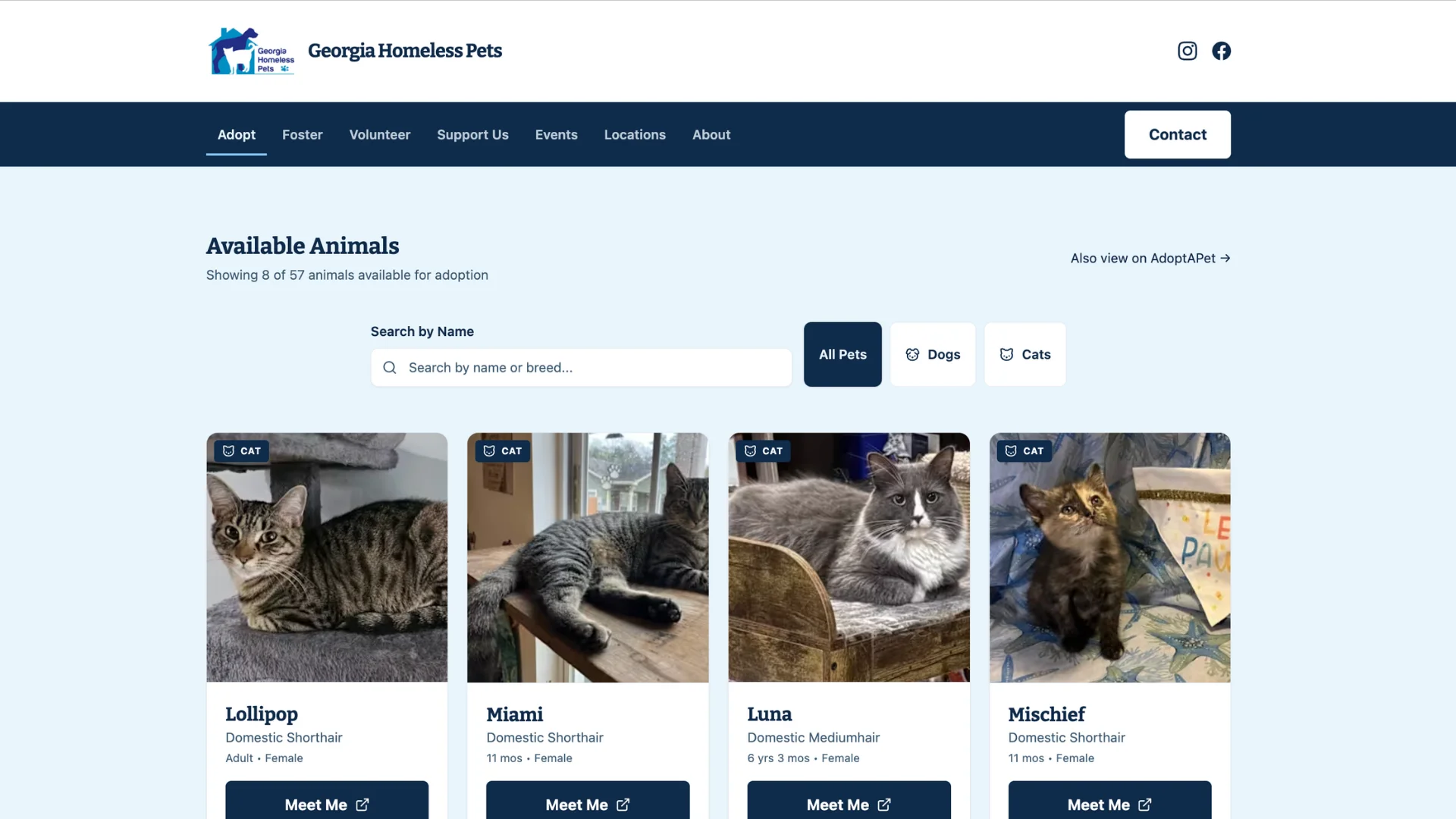 Georgia Homeless Pets adoption flow
