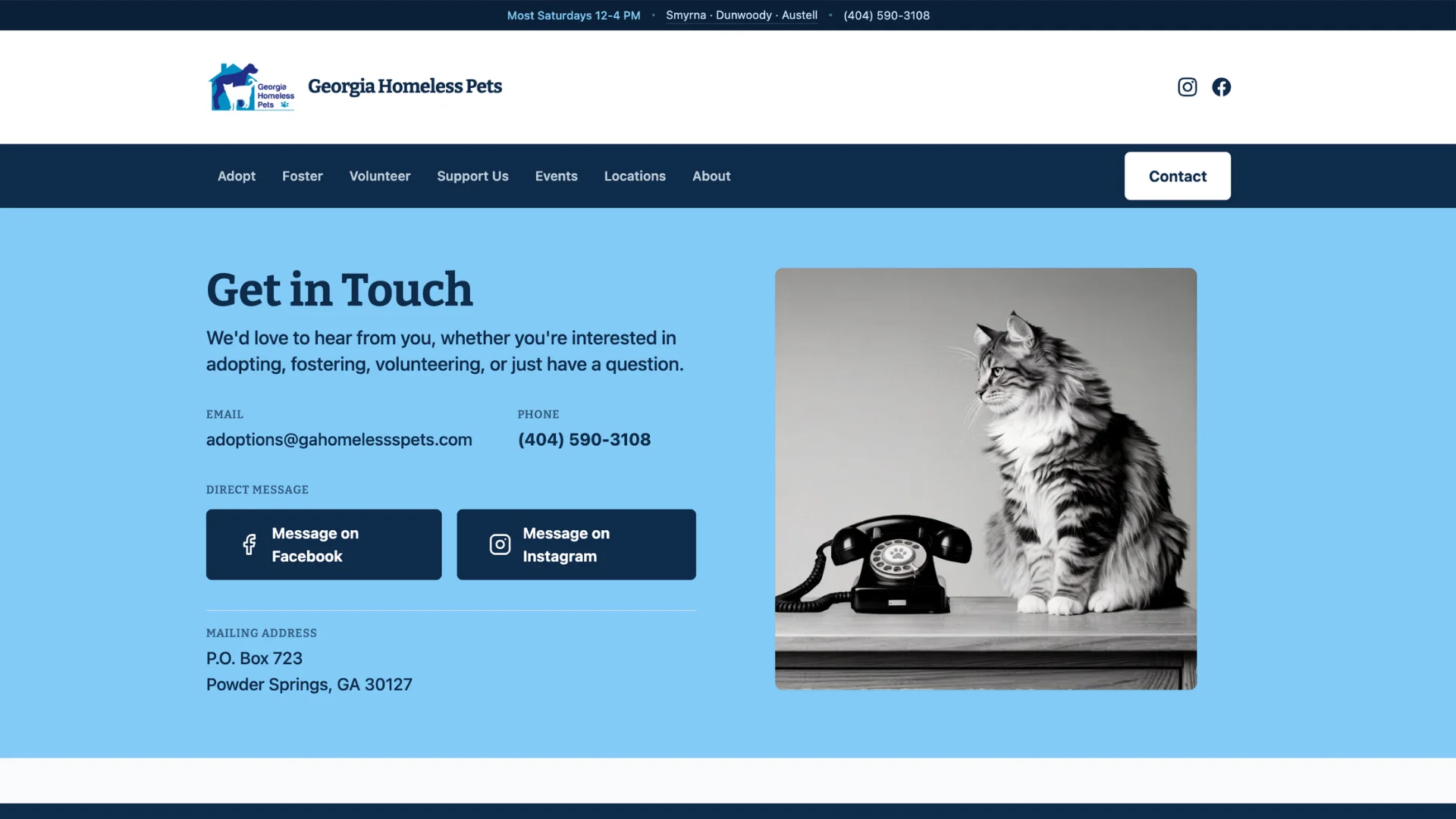 Georgia Homeless Pets contact interface